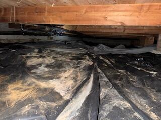 Dirty Crawl Space