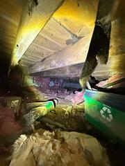 Wet Crawl Space