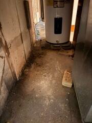 Mold Growth Visible Near Water Heater