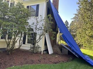 Tarps