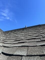 Lifting Shingles