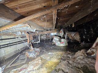 Addressing Crawl Space Sagging Floors and Dampness in Belmar, NJ