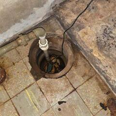 Old Sump Pump System
