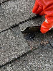 Lifted shingles