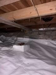 The CleanSpace Liner Throughout The Crawl Space