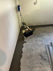 TripleSafe Sump Pump System