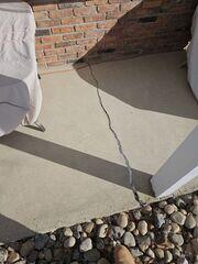 Cracking Concrete Front Porch in Schenectady, NY
