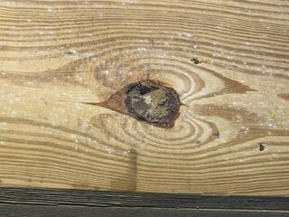 High humidity in the crawl space facilitated mold growth on floor boards and floor joists.