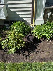 Outdoor Audio System with Landscape Speakers & Buried Subwoofer