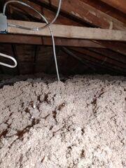 New Blown-In Insulation