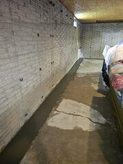 WaterGuard Floor Drains