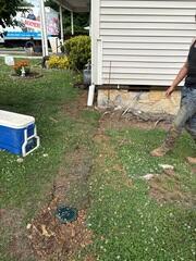 LawnScape Buried