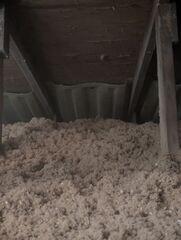 Dense Cellulose