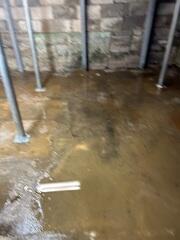 Old Beams