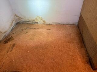 Waterproofing Leaky PNW Basement - Mukilteo, WA