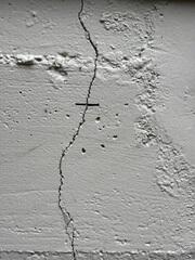 Foundation Wall Crack