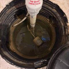 Build Up in Sump Pump Liner
