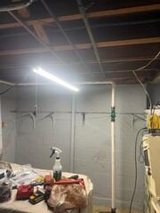The air in this basement needed some help. It was humid and musty, and the homeowner really wanted a change.