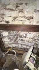 Wet Basement