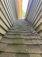 Debris and Moisture-Prone Roof Area