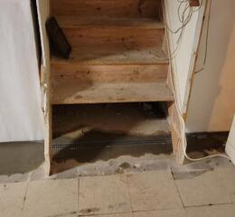 Trench Drain under cellar door