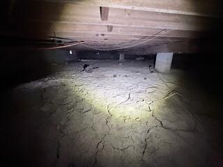 Crawl space inspection