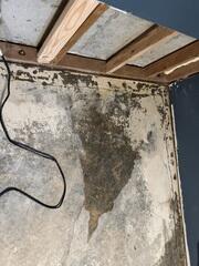 Additional Water Intrusion Into Basement
