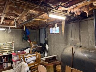 Damp Basement