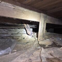 Crawl Space Debris