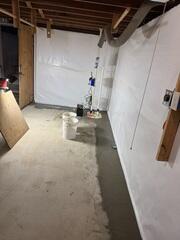 TripleSafe Sump Pump System