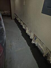 WaterGuard System