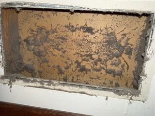 Dryer Vent Cleaning - Genoa, NE