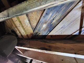 Rotted Floor Joists