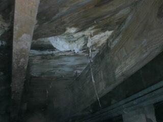 Crawl Space Moisture Damage