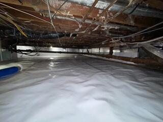 CleanSpace