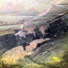 Unhealthy Crawl Space