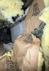 Crawl Space Issues