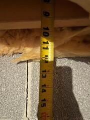 Basement transformation in Martinsburg, West Virginia