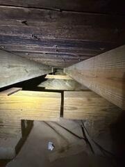 Mold Remediation in Medina, TN