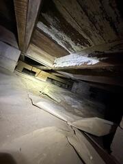 Mold Issues