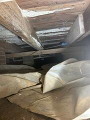 Mold Destroys Your Home