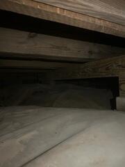 After Mold Treatment