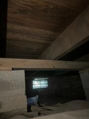 Why Treat Mold Issues