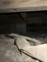 Floor Joists