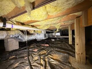 Crawl Space Before