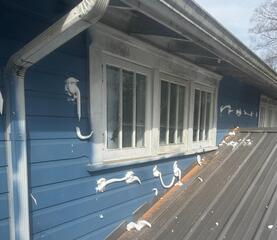 Injection Foam Insulation for Wood Exterior Walls In Charleston, WV