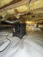 SaniDry Sedona Dehumidifier