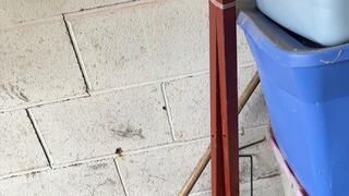 Stair-Step Cracking Along Garage Wall