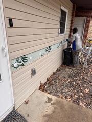 Vinyl Exterior Walls