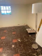 Before Demo